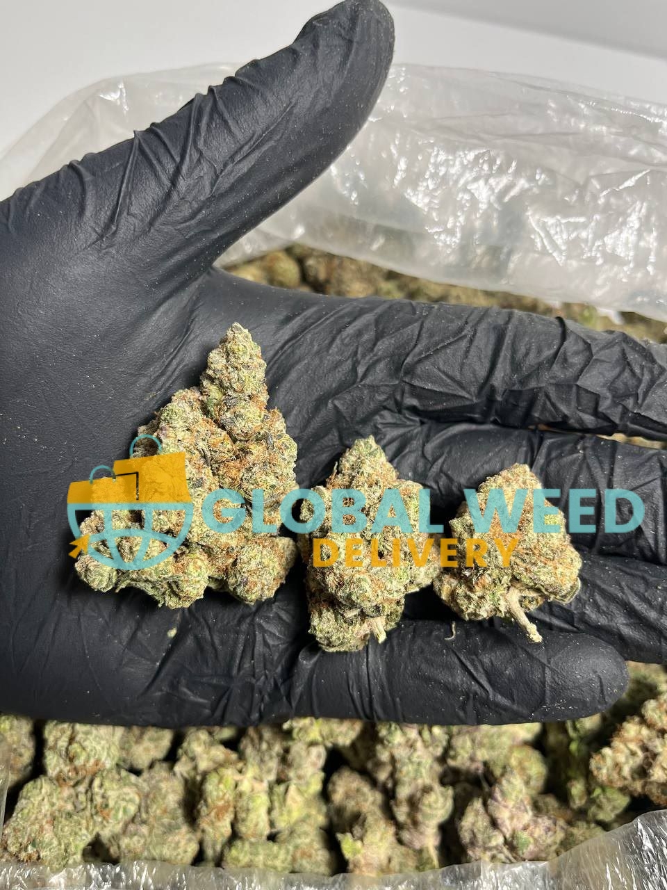 photo_2022-05-11_05-08-02 buy trinity marijuana weed online