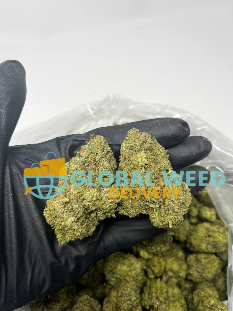 photo_2023-01-15_08-15-22 Order Birthday Cake