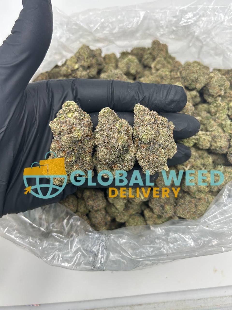 photo_2023-01-25_00-16-40 buy blue goo weed online