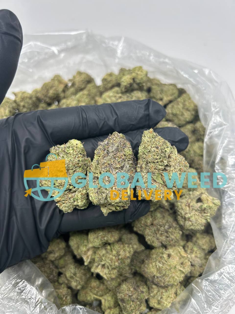 photo_2023-01-25_00-20-29 Order Banana Kush online