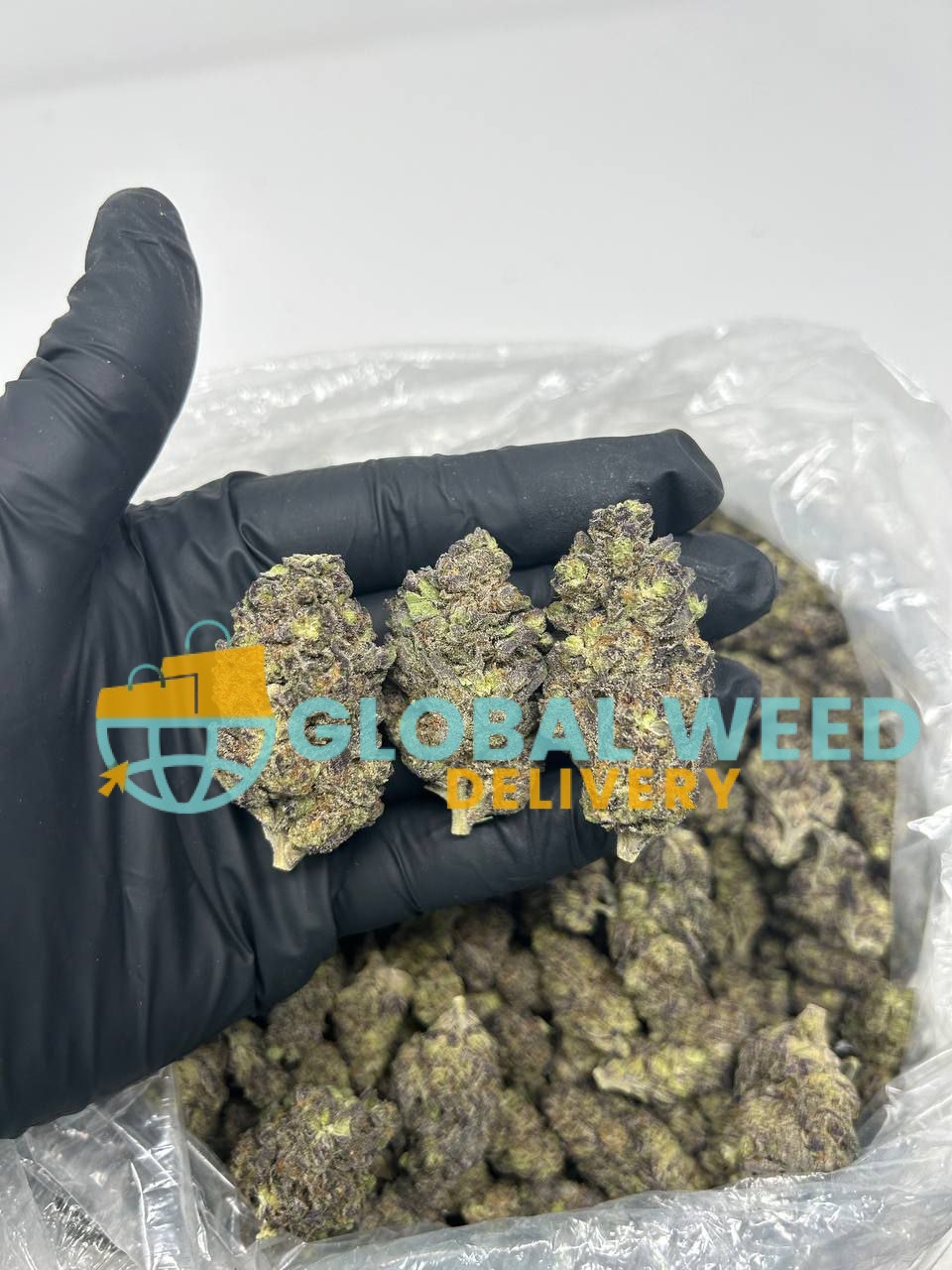 photo_2023-01-25_00-21-58 (2) Dogwalker OG strain