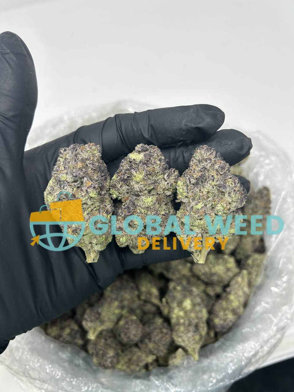 photo_2023-01-25_00-22-30 Order XJ-13 strain online