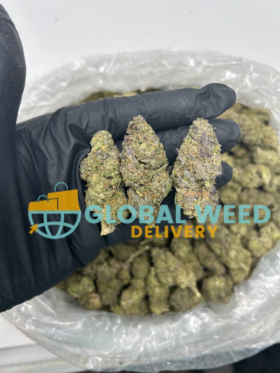 photo_2023-01-25_00-23-33 Order Zookies marijuana strain