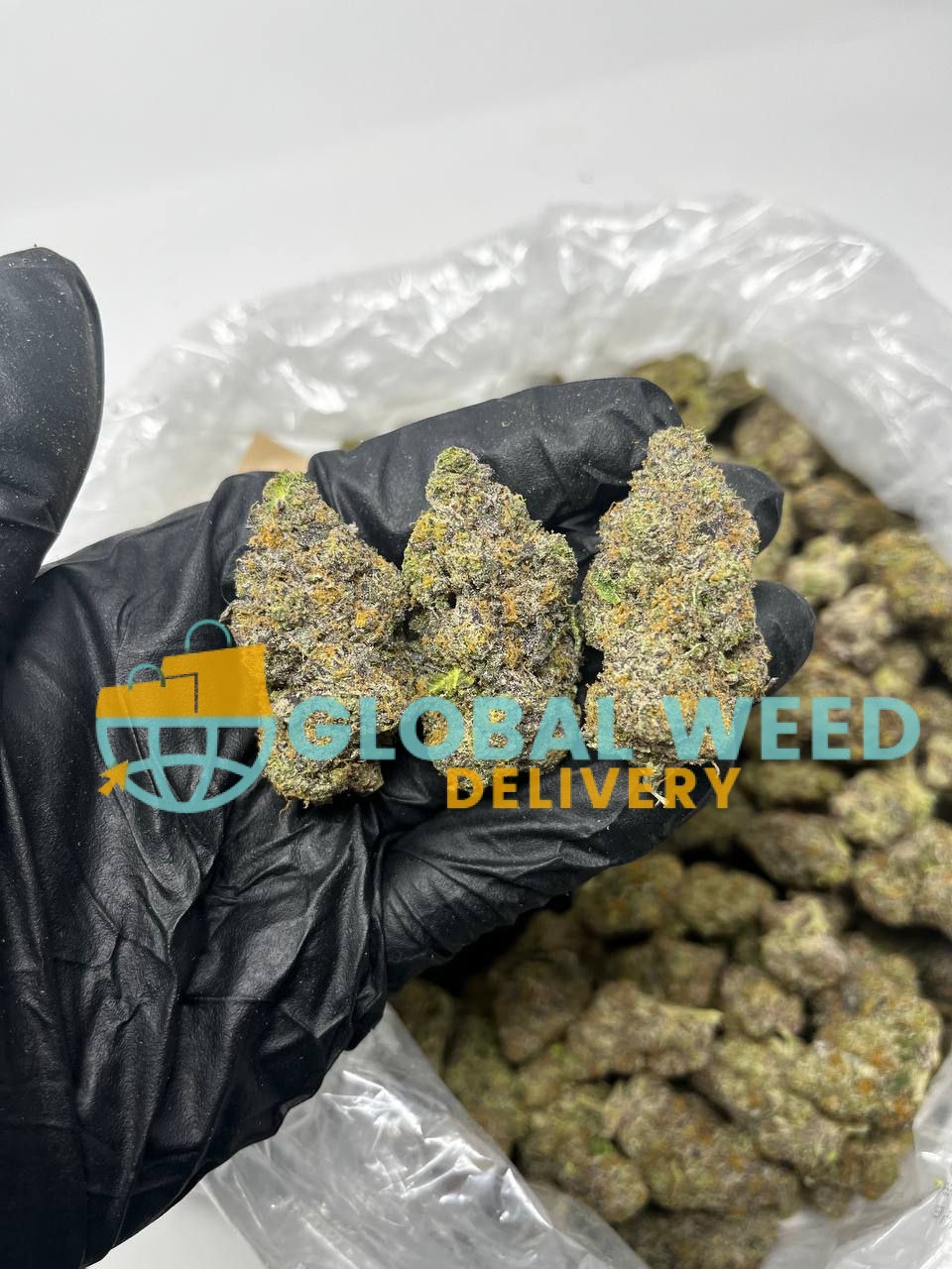 photo_2023-01-31_20-50-19 buy Brain Freeze online