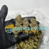 Order Hindu Kush Strain