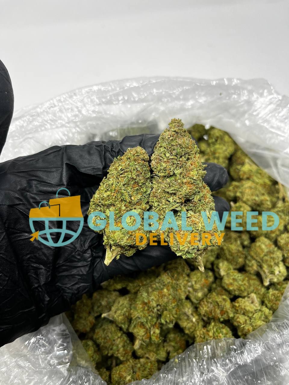 photo_2023-04-08_16-53-30 Order Gelato strain