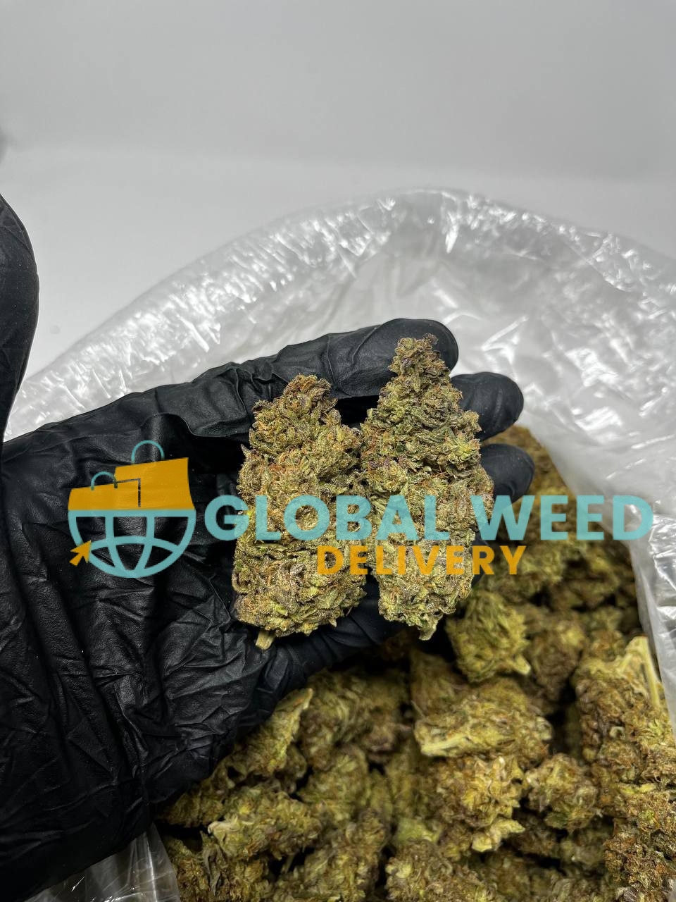 photo_2023-04-08_16-56-48 buy atomick jack weed online