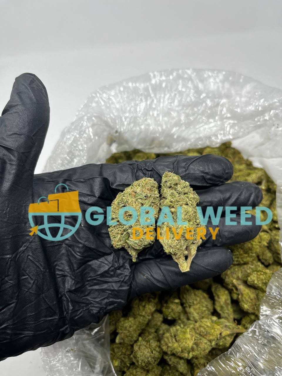 photo_2023-04-08_17-00-13 buy black cherry soda online