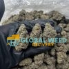 BUY GORILLA GLUE 4 ONLINE