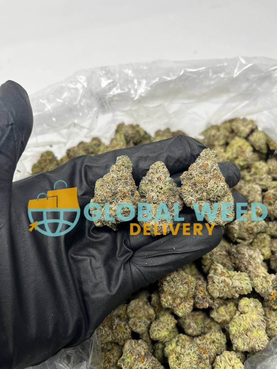 photo_2023-04-25_16-49-23 BUY HARLEQUIN WEED ONLINE