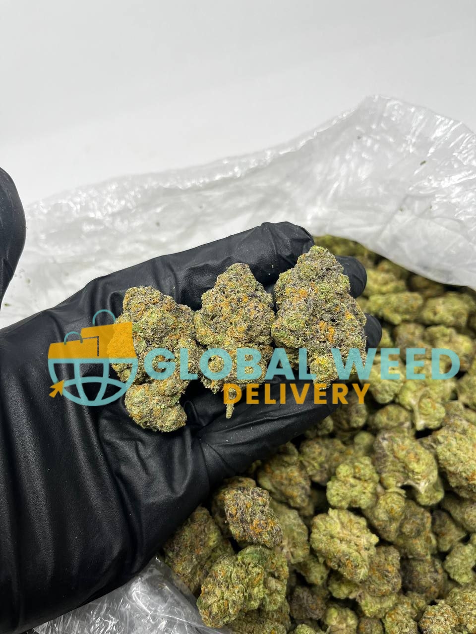 photo_2023-04-25_16-49-46 Buy Jack Herer Weed online