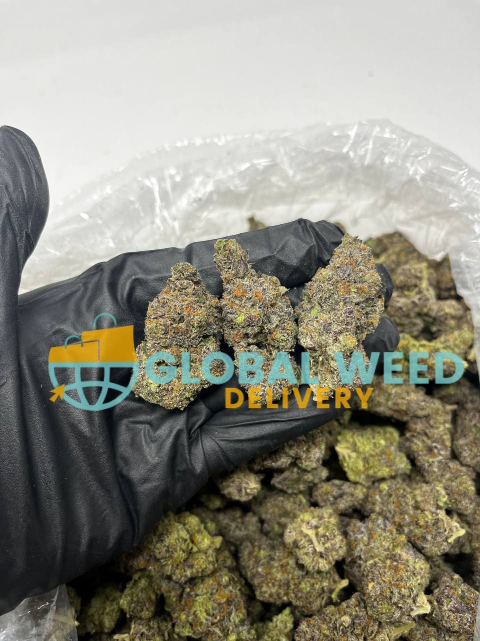 photo_2023-04-25_16-51-40 buy panama red weed online