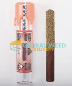 GEORGIA PIE COOKIES PACKWOODS