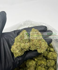 Durban poison weed for sale