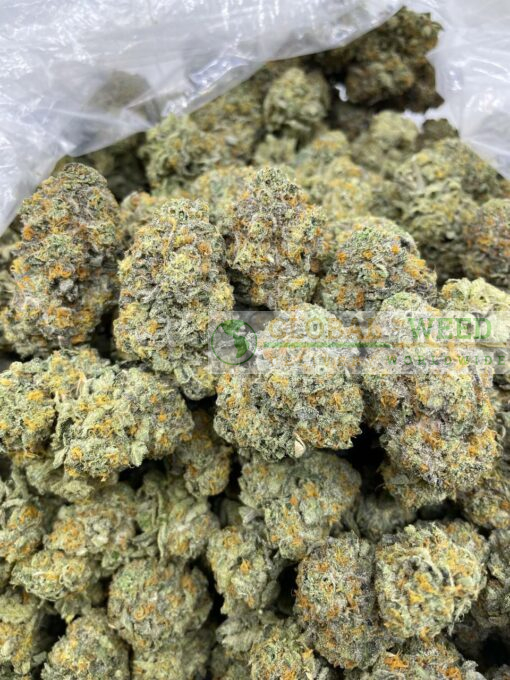 Durban poison weed for sale