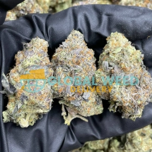 Order LA Kush Cake Strain Online