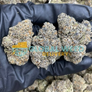 Jungle Cake Strain (AAAAA) For Sale