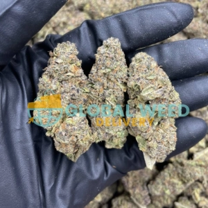 Buy Jet Fuel Strain (AAA) Online