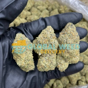 Order Garlic Breath Strain Online