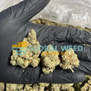 Charlotte’s Web strain