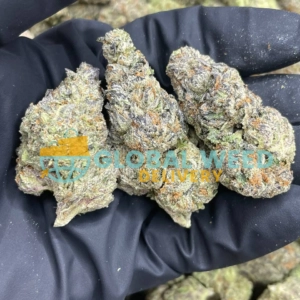 Space Runtz Marijuana Strain for sale