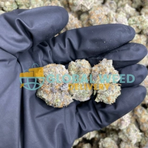 Skilatti strain for sale