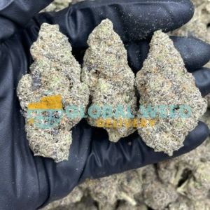 Gary Payton Marijuana Strain