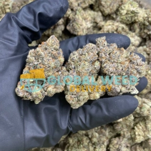 cake bomb marijuana strain