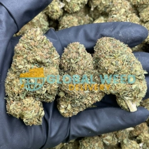 Papaya Punch Strain (AAAA) For Sale