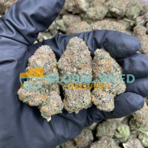 Cereal Milk Strain (AAAAA) Strain For Sale