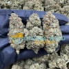 Buy Alaskan Thunder Fuck strain (AA) Online