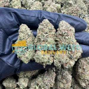 worldwide cannabis delivery service