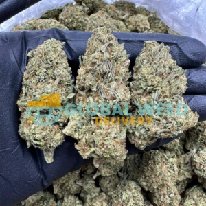 5 Alive Marijuana Strain