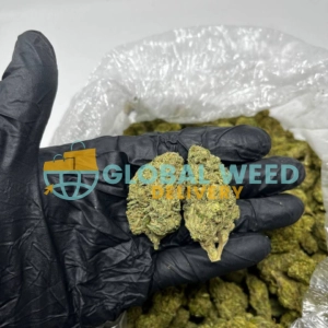 Buy Super Lemon Haze Strain (AAA) Online