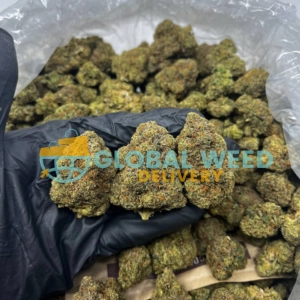 Sherbet Strain (AAA)