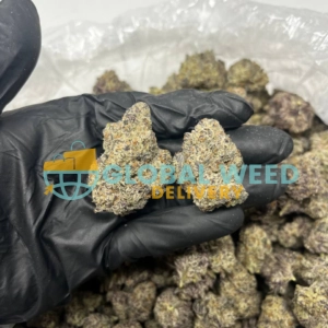 Buy Rockstar Strain (AA) Online