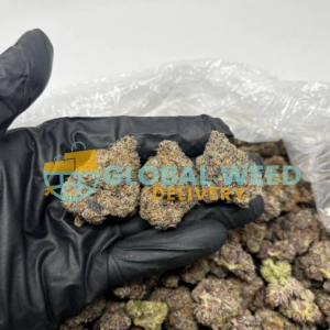 Pink Kush Strain (AAAAA)