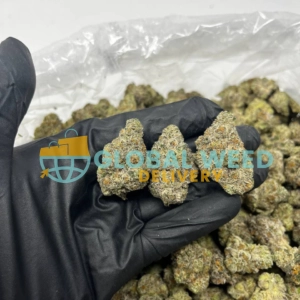 Pink Kush Strain (AA) For Sale