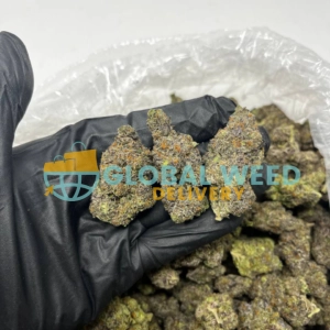 Order Mimosa Strain (AAAA) Online