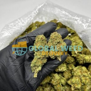 Layer Cake Strain (AA)